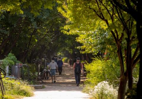 서울관광재단이 추천하는 서울 댕댕이 산책코스 7선 - 구로구